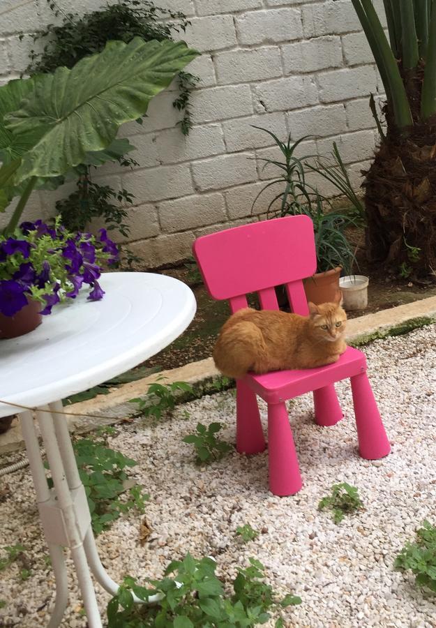 Lilly'S Appartments أثينا المظهر الخارجي الصورة